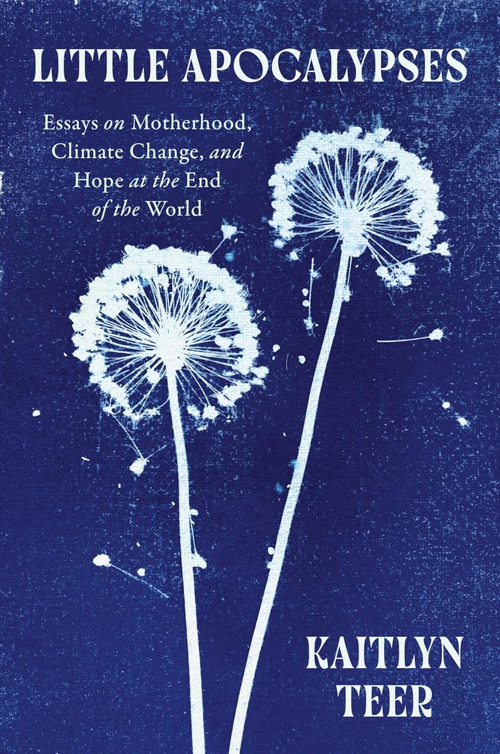 Little Apocalypses: Essays on Motherhood, Climate Change, and Hope at the End of the World by Kaitlyn Teer